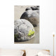 Moeraki Boulders Koekohe Beach Wall Decal Design 8