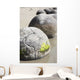 Moeraki Boulders Koekohe Beach Wall Decal Design 8
