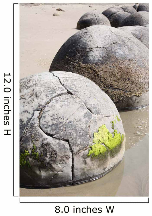 Moeraki Boulders Koekohe Beach Wall Decal Design 8