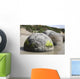Moeraki Boulders Koekohe Beach Wall Decal Design 7