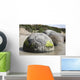 Moeraki Boulders Koekohe Beach Wall Decal Design 7