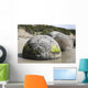 Moeraki Boulders Koekohe Beach Wall Decal Design 7