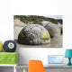 Moeraki Boulders Koekohe Beach Wall Decal Design 7