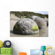 Moeraki Boulders Koekohe Beach Wall Decal Design 7