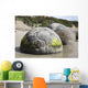 Moeraki Boulders Koekohe Beach Wall Decal Design 7