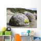 Moeraki Boulders Koekohe Beach Wall Decal Design 7
