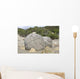 Moeraki Boulders Koekohe Beach Wall Decal Design 6