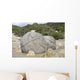 Moeraki Boulders Koekohe Beach Wall Decal Design 6