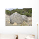 Moeraki Boulders Koekohe Beach Wall Decal Design 6