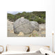 Moeraki Boulders Koekohe Beach Wall Decal Design 6