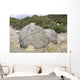 Moeraki Boulders Koekohe Beach Wall Decal Design 6