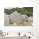 Moeraki Boulders Koekohe Beach Wall Decal Design 6