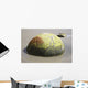 Moeraki Boulder Koekohe Beach Wall Decal Design 2