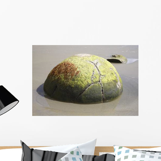 Moeraki Boulder Koekohe Beach Wall Decal Design 2