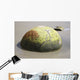 Moeraki Boulder Koekohe Beach Wall Decal Design 2