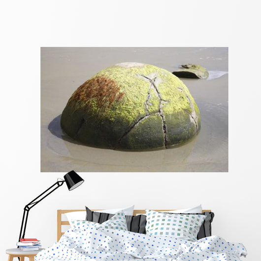 Moeraki Boulder Koekohe Beach Wall Decal Design 2
