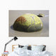 Moeraki Boulder Koekohe Beach Wall Decal Design 2