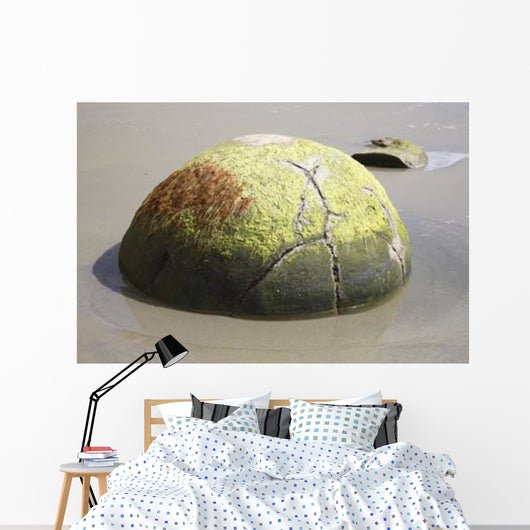 Moeraki Boulder Koekohe Beach Wall Decal Design 2