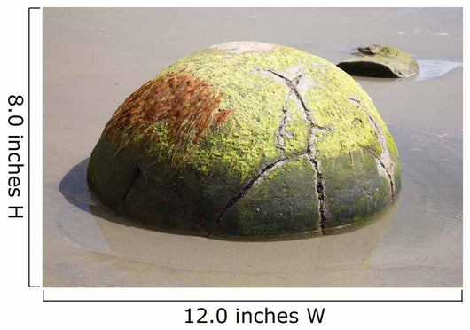 Moeraki Boulder Koekohe Beach Wall Decal Design 2