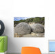 Moeraki Boulders Koekohe Beach Wall Decal Design 5
