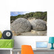 Moeraki Boulders Koekohe Beach Wall Decal Design 5