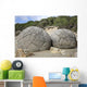 Moeraki Boulders Koekohe Beach Wall Decal Design 5