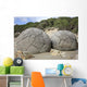 Moeraki Boulders Koekohe Beach Wall Decal Design 5