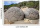Moeraki Boulders Koekohe Beach Wall Decal Design 5