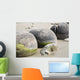 Moeraki Boulders Koekohe Beach Wall Decal Design 4