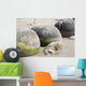 Moeraki Boulders Koekohe Beach Wall Decal Design 4