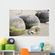 Moeraki Boulders Koekohe Beach Wall Decal Design 4