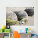 Moeraki Boulders Koekohe Beach Wall Decal Design 4