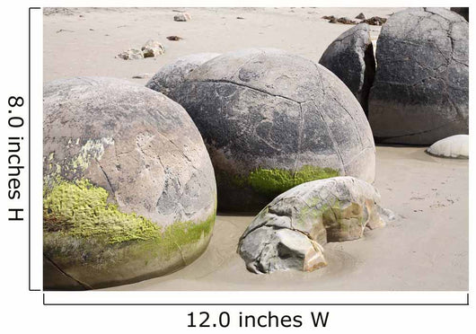 Moeraki Boulders Koekohe Beach Wall Decal Design 4