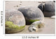 Moeraki Boulders Koekohe Beach Wall Decal Design 4