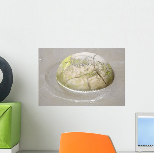 Moeraki Boulder Koekohe Beach Wall Decal Design 1