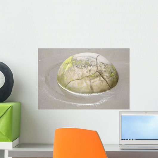 Moeraki Boulder Koekohe Beach Wall Decal Design 1
