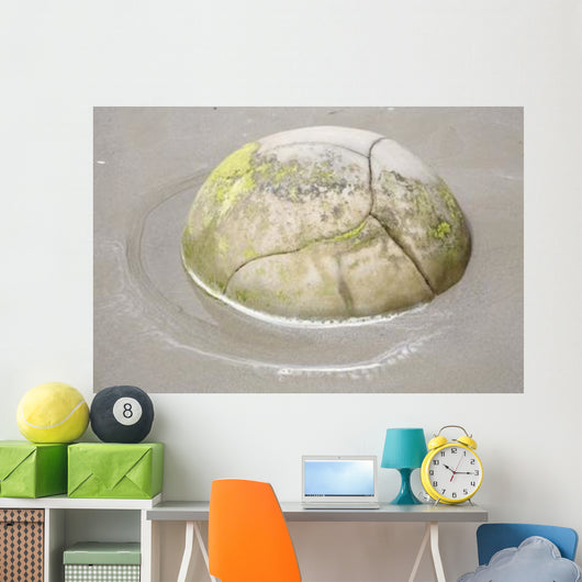 Moeraki Boulder Koekohe Beach Wall Decal Design 1
