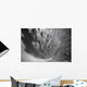 Explosive Eruption with Ash Wall Decal