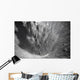 Explosive Eruption with Ash Wall Decal