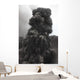 Ash Cloud Rising from Wall Decal