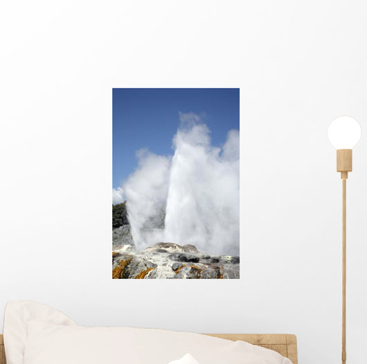Pohutu and Prince Wales Wall Decal Design 8