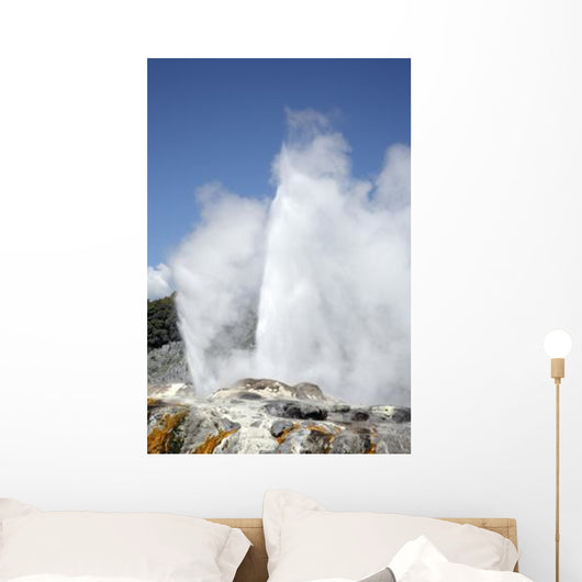 Pohutu and Prince Wales Wall Decal Design 8