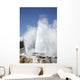 Pohutu and Prince Wales Wall Decal Design 8