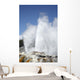 Pohutu and Prince Wales Wall Decal Design 8