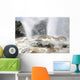 Pohutu and Prince Wales Wall Decal Design 5