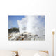 Pohutu and Prince Wales Wall Decal Design 4