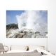 Pohutu and Prince Wales Wall Decal Design 4