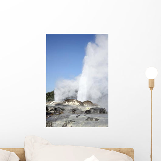 Pohutu and Prince Wales Wall Decal Design 2