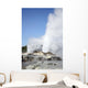 Pohutu and Prince Wales Wall Decal Design 2