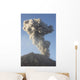 Ash Cloud following Explosive Wall Decal Design 7